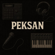 PEKSAN avatar
