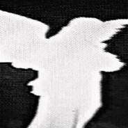 wwwhtml