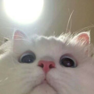 𝖓𝖔𝖙 𝖓𝖔𝖜