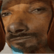 snoop dog doo