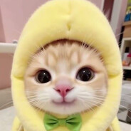 КОТИК БУСТЕР