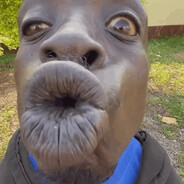 Sipho