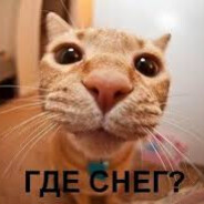 Где снег?