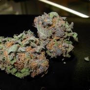 aS. `purp.h4ze
