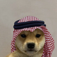 DOGE ツ