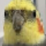 tis wielki
