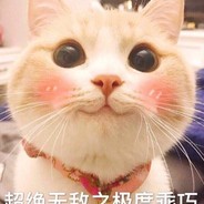哩条街的靓仔