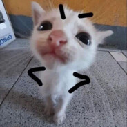 fako8