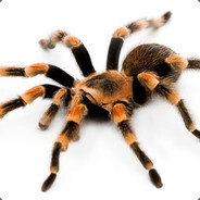 TaRaNTuLa