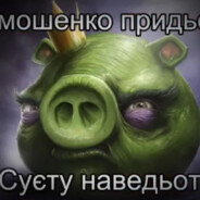 ТИМОШЕНКО