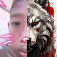 เกมหมา