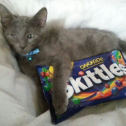 skittles