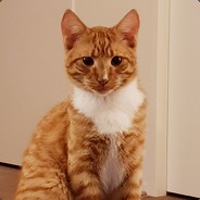 Shockabruh