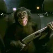 TrunkMonkey