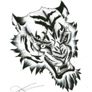 Shane_Phinix