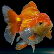 GoldFish