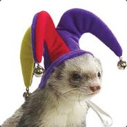 ferret