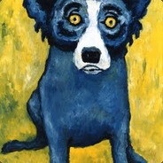 pooch