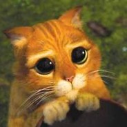 MrCatIsBeatingYou