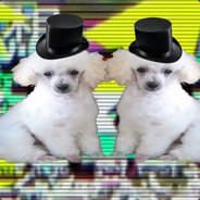 PoodleCorp
