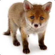 foxino