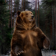 RussianBear