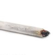 The Gas