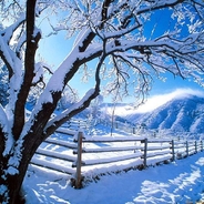 Hiems,Emis