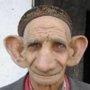 daad.muiad