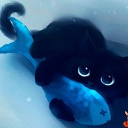 чорний котик