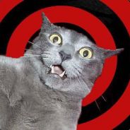 Kalamity.Kitty