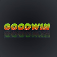 GoodW1n
