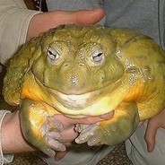 dumbfrog
