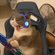 ШТУКАТУР