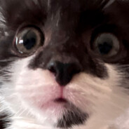 Mr. Mmmph