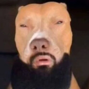 Pitbullah