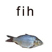 Fih