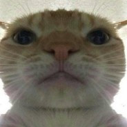 Mr Moshi 3