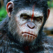♛APE♛♥♥♥♥♥♥♥♥♥♥♥♥♥♥