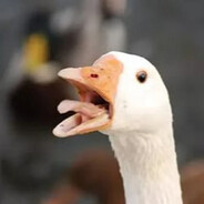 Bruh Moment