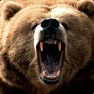 xMrTeddyBear