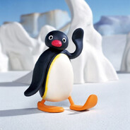 NOOT NOOT