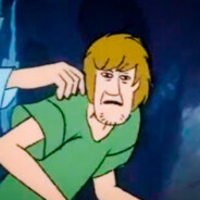 Shaggy