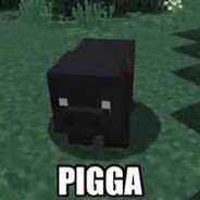pigga