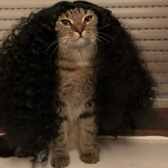 cucurella