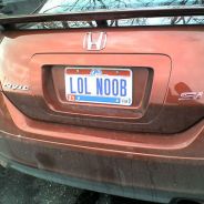 Daily Noob( °□°)