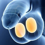 Jonny Testicles 🥚