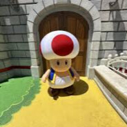 宾格斯