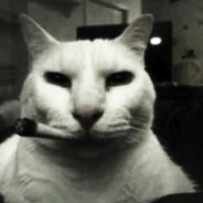 duzy__wacek ♥♥♥♥♥♥♥♥♥♥