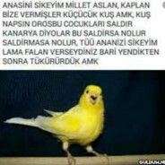 sikubsinbayn